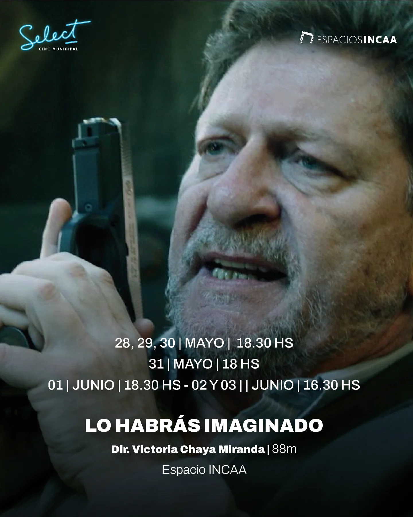 Lo habrás imaginado