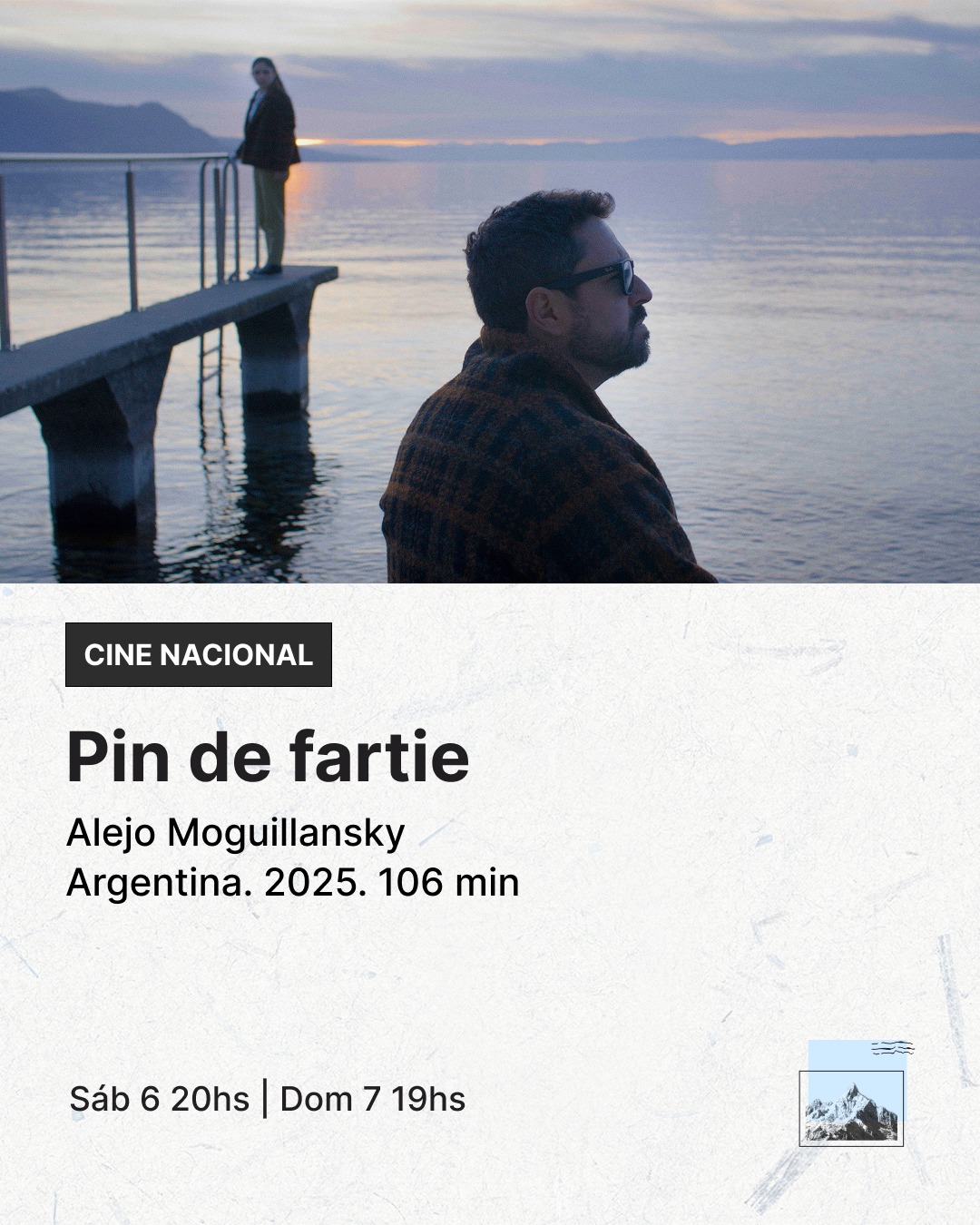 Pin de fartie 