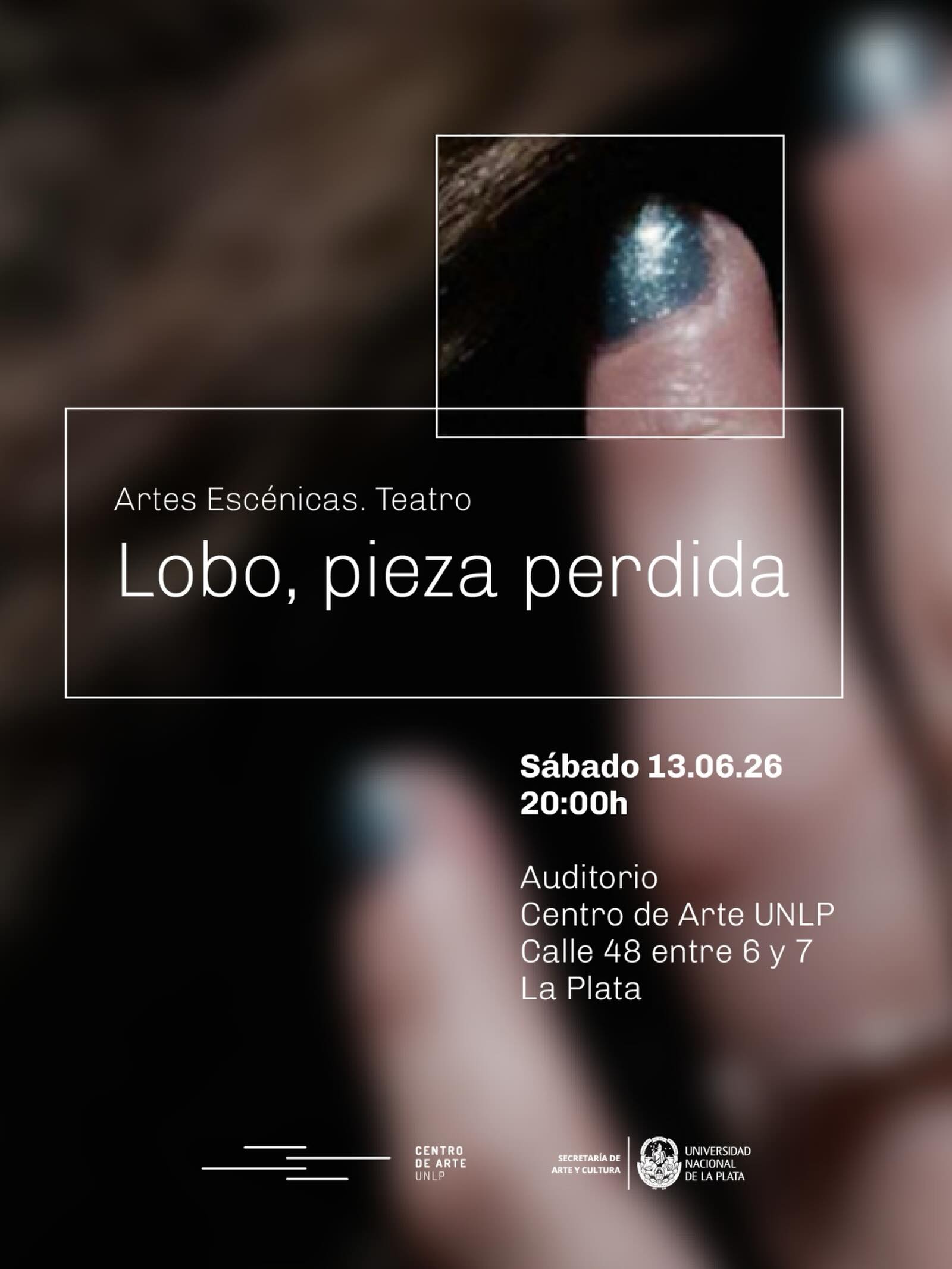 Lobo, pieza perdida