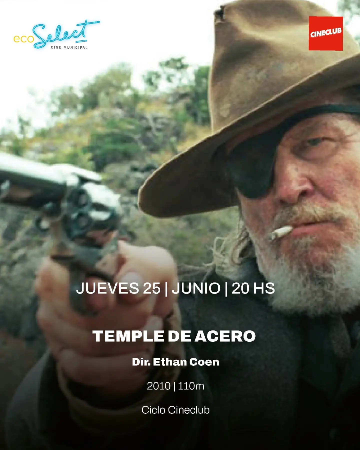 Temple de acero