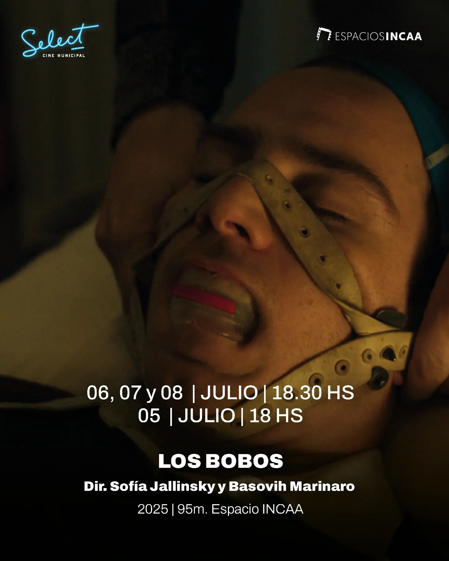 Los bobos