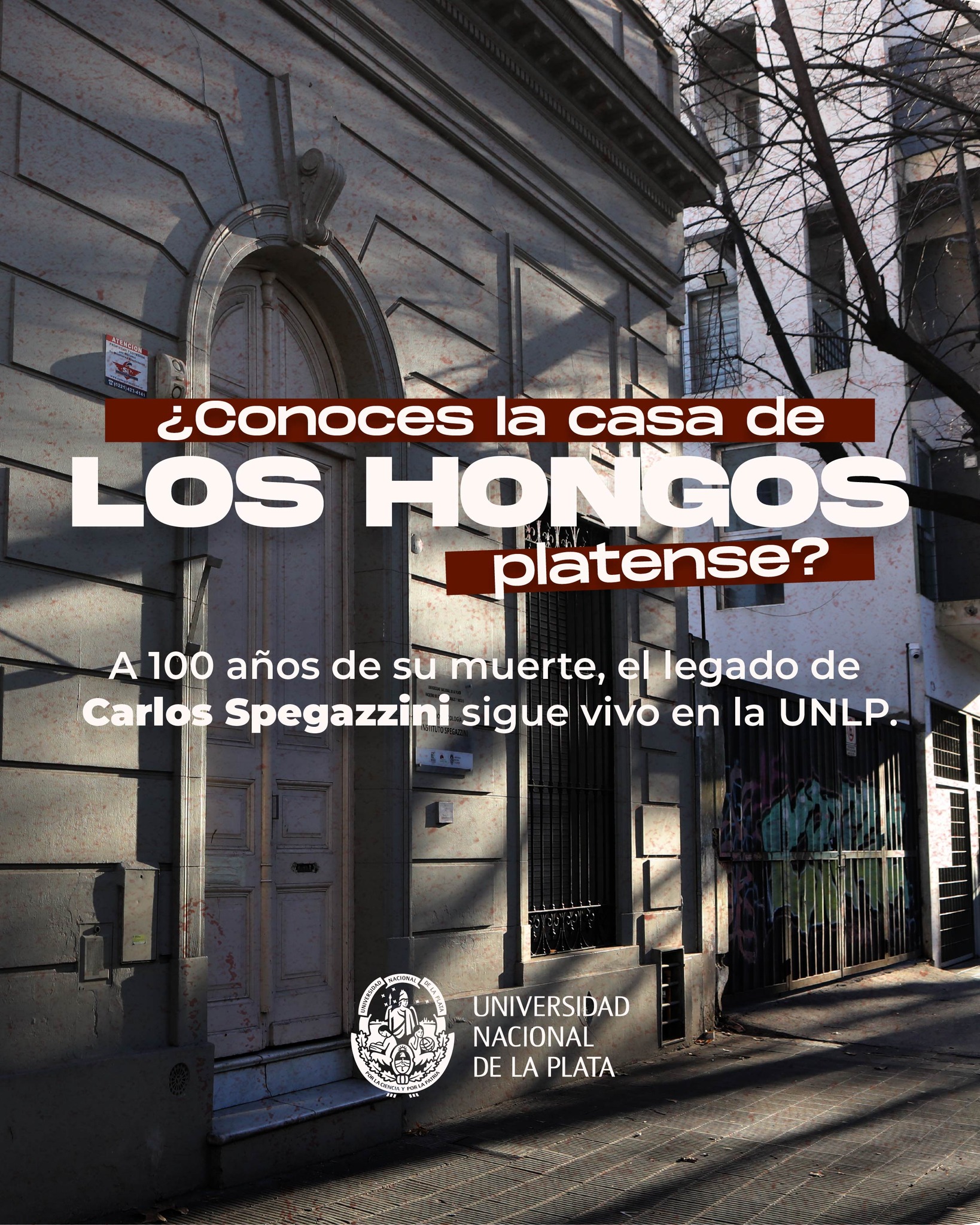 ¿Conocés la casa de los hongos?