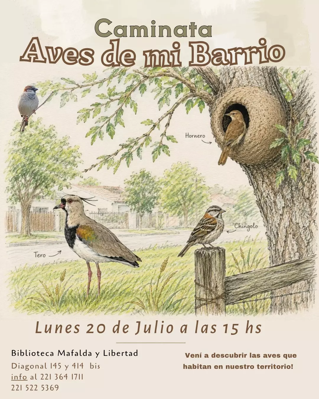 Caminata Aves de mi barrio