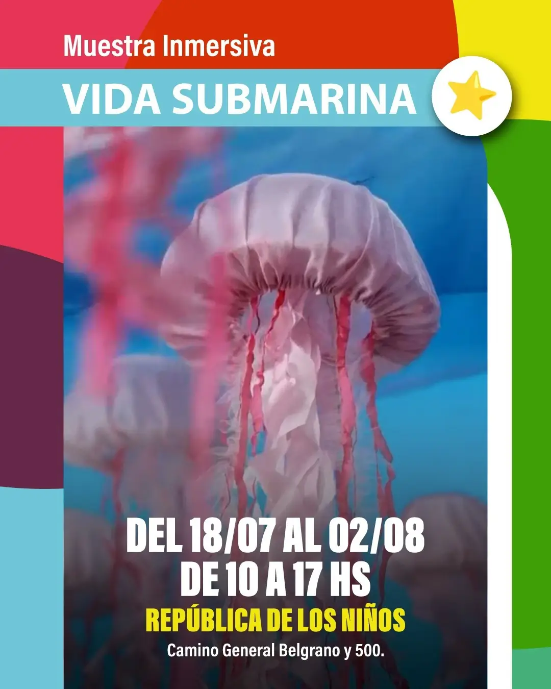 Muestra inmersiva - Vida Submarina
