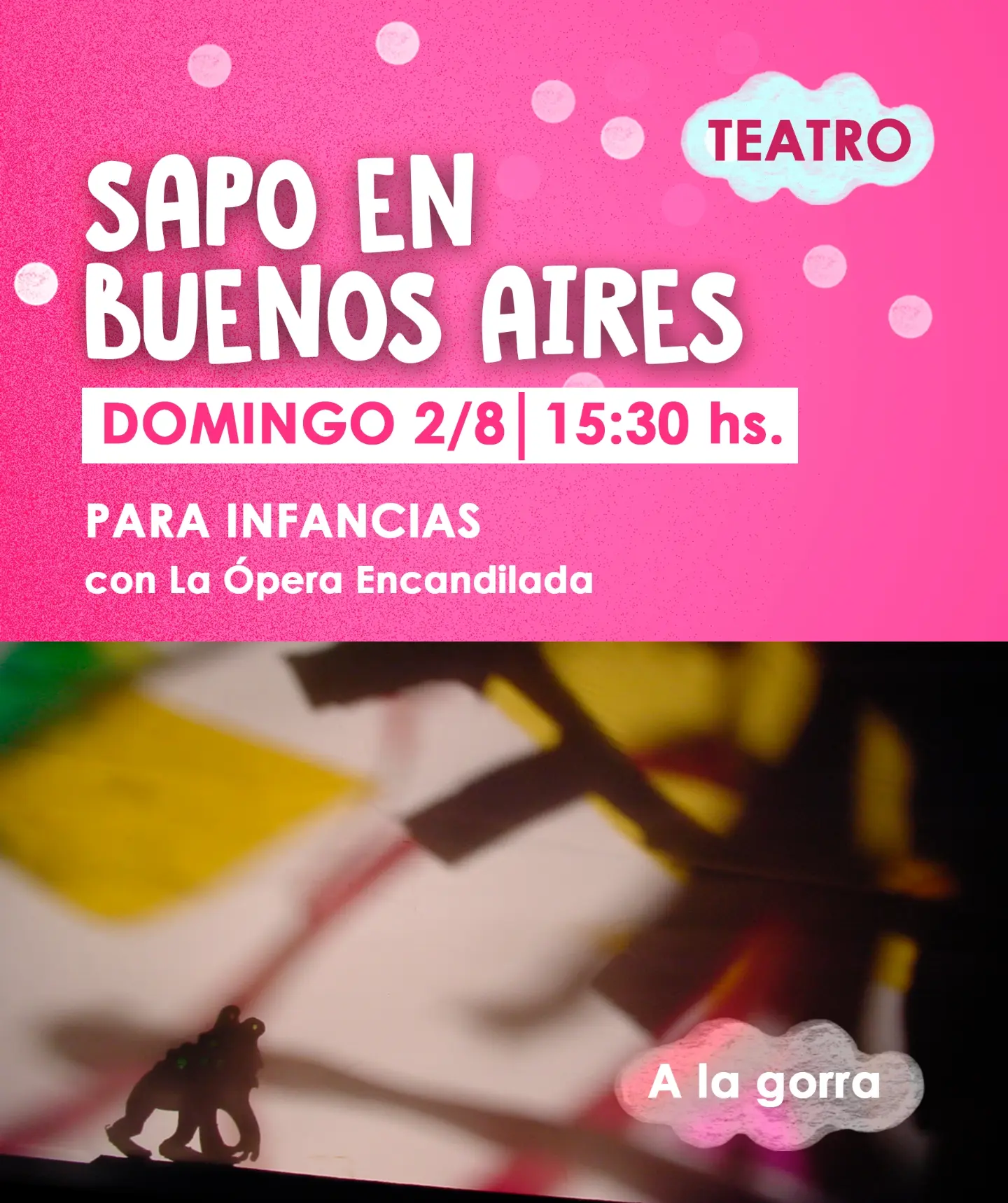 Sapo en Buenos Aires