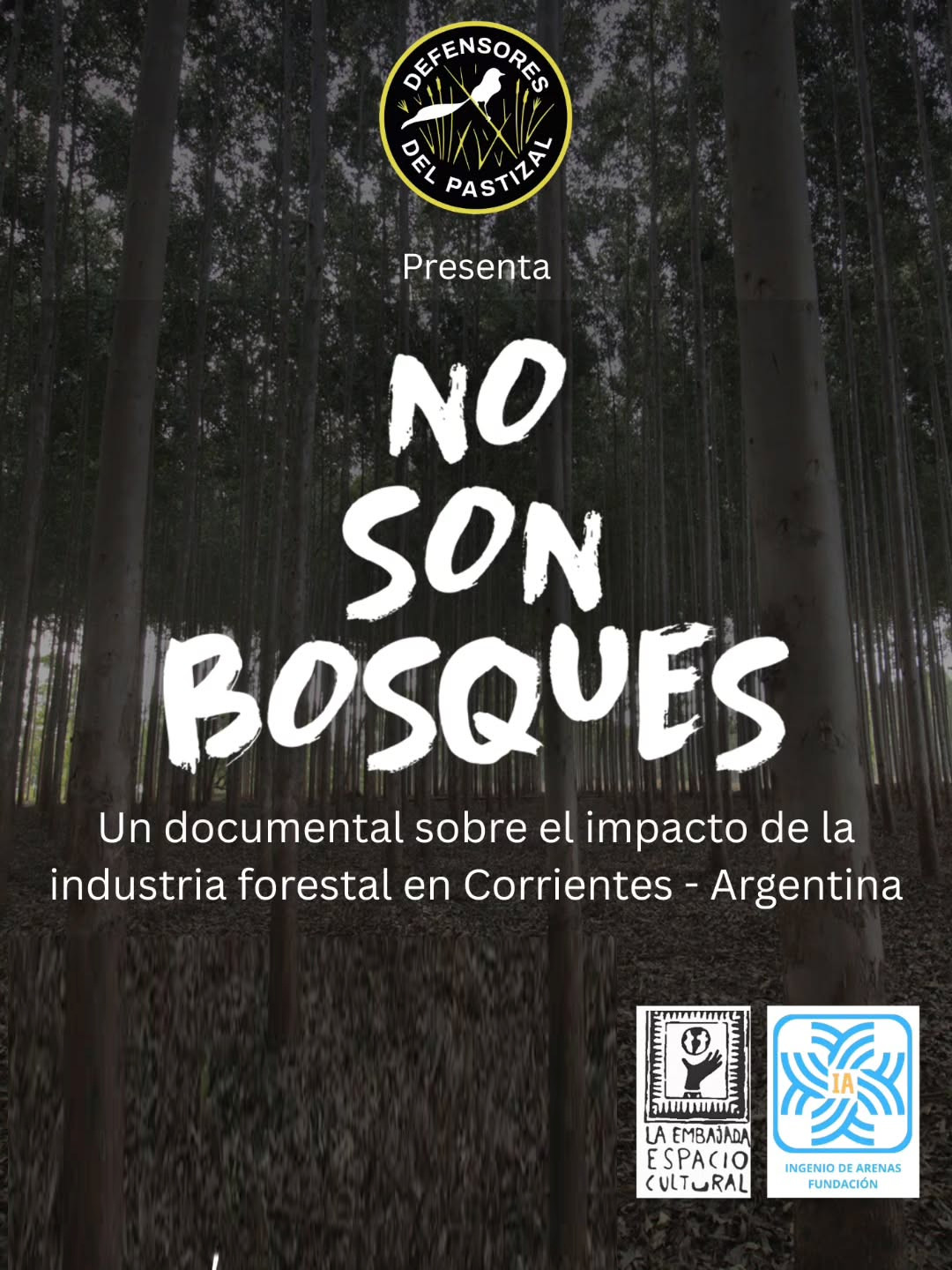 No son bosques - Dir Fernando Cattaneo