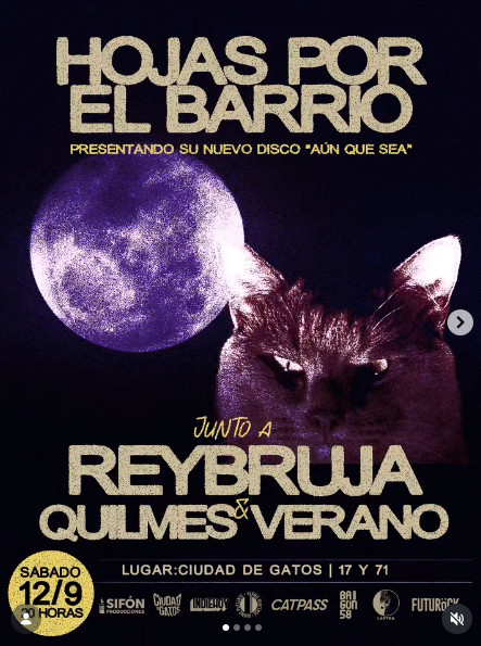 Hojas por el barrio - Rey bruja - Quilmes verano