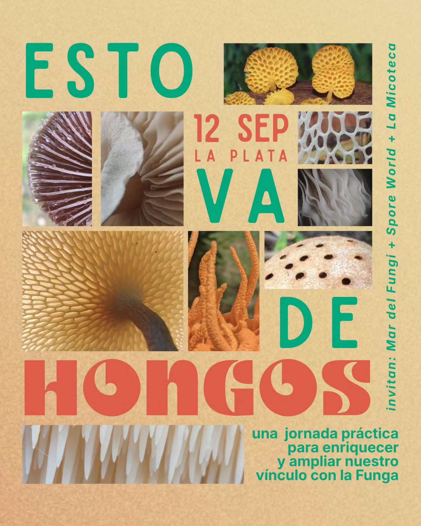 Esto Va De Hongos + Caminata fungi + Taller de micelio en grano